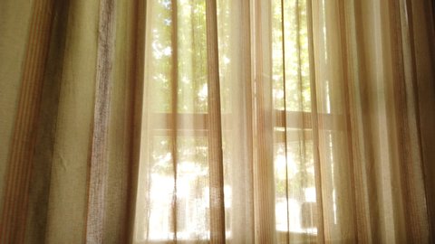 Window curtains swaying in the wind, light coming through