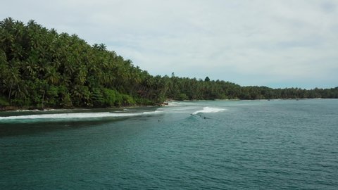 Wave, jungle seascape Mentawai Indonesia