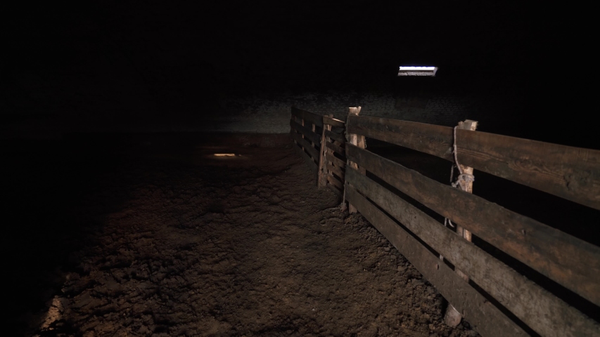 An empty farm without workers and animals. Bankrupt farming due to epidemic. Cattle hangar, inside view. World financial crisis. 