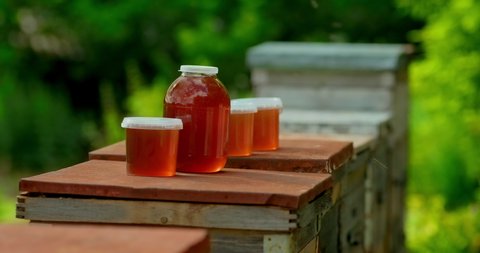 Honey, a natural ecological product, is stored in jars on hives. Jars of honey will be on the hives. 4k, 10bit, ProRes