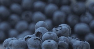 Close-up shot of a blueberry. Fresh, organic, natural, delicious and black blueberries spin on a defocused blueberry background.