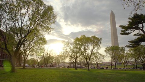 Grass and Trees in Front of the Washington Monument