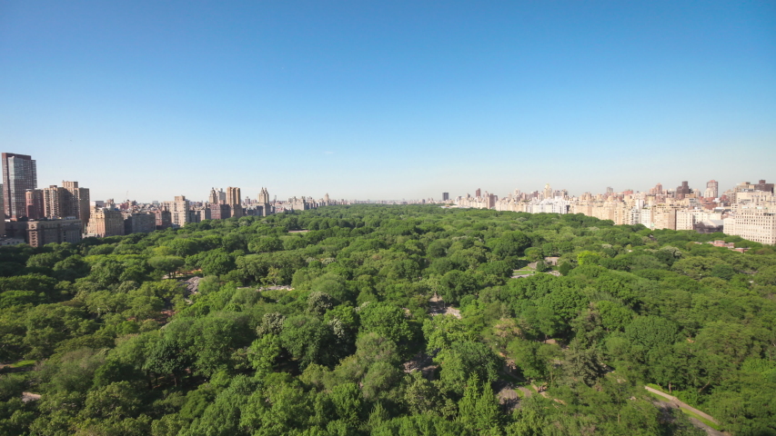 Landscape and trees in Central Park, New York City image - Free stock ...