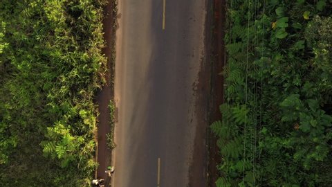 Bird eye view of an asphalt or hardened road with yellow lines that runs through a lush green area in tropical rainforest
