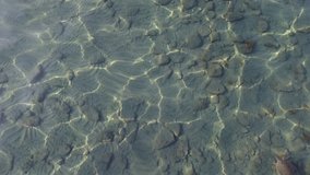 A sea turtle comes up for a breath and slowly swims against the background of clear water with a sandy bottom with stones, filmed by a drone from top to bottom
