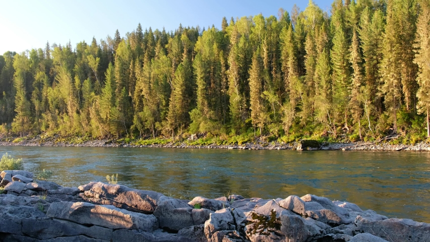 Morning video of Altai landscape with river Katun and boulders on foreground and forest on the far bank. Altai, Siberia, Russia