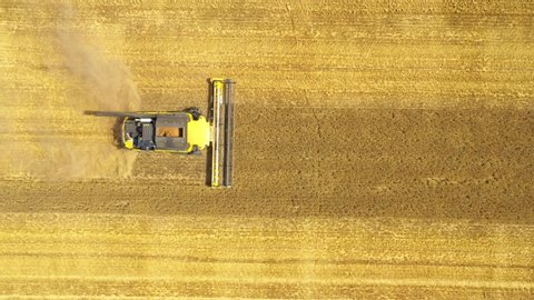 Aerial view of combine harvester. Harvest of wheat field. Industrial footage on agricultural theme. Agriculture in European Union from above.