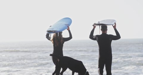 Back view senior couple with dog holding surfboards at beach