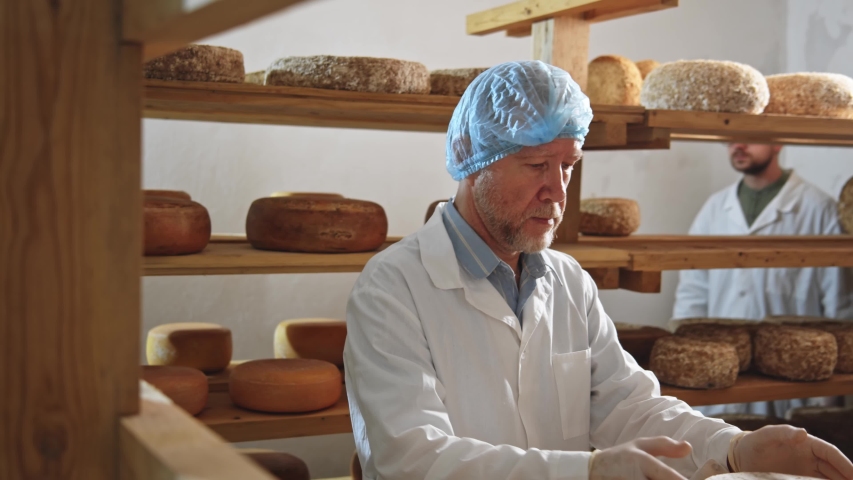 Handsome adult concentrated man in white uniform checking ready fresh milk cheese round (wheel) on sunny background in dairy farm warehouse (protective cap). 4K Milky products manufacturing business.