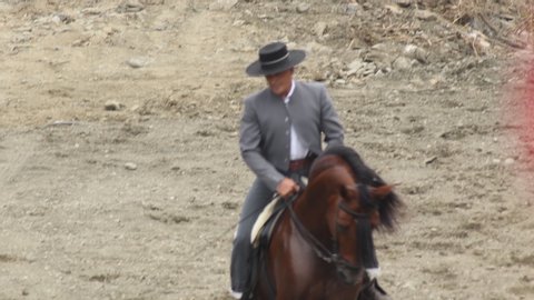 Algarrobo, Malaga / Spain - 11 04 2019 : Spanish horse and rider performing an equestrian exhibition