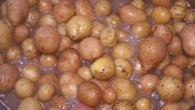 Unpeeled potatoes are fried in a skillet. Food photo. Potato dish. Culinary recipe. Menu of dishes. Home kitchen. Cooking food. Vegetable dish. Promotional video. Hot appetizers to the table.