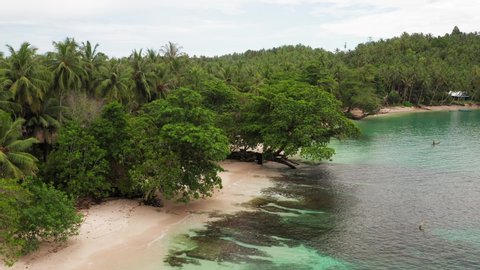 Beach reveal Mentawai Indonesia tropical