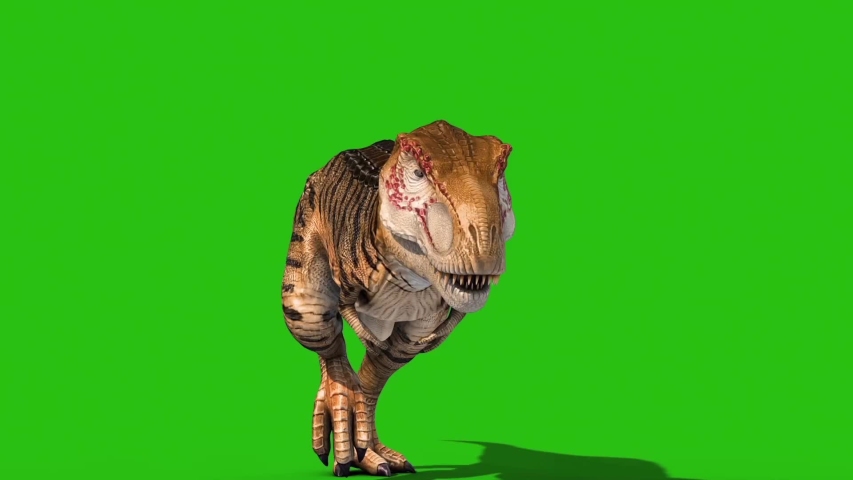 Angry T-Rex Runcycle Green Screen Close , Stock Video