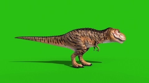 Angry T-Rex Idle Green Screen Side Loop 3D Rendering Animation Dinosaurs