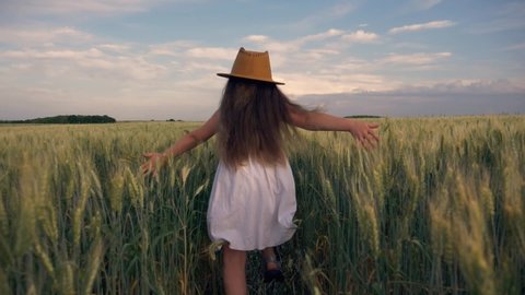 A happy little girl with a hat on her head runs through a wheat field with her arms outstretched. A child enjoys the fresh air in the countryside. A happy child runs on the green grass.