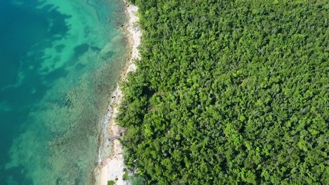 Aerial View of Punta Negra Puerto Rico in Vieques Clear Ocean with Trees
