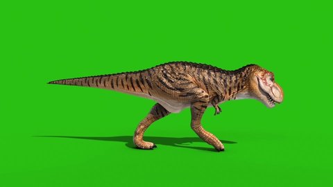 Angry T-Rex Walkcycle Green Screen Loop 3D Rendering Animation Dinosaurs