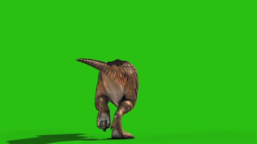 Oviraptor Dinosaurs Run Cycle Green Scre, Stock Video