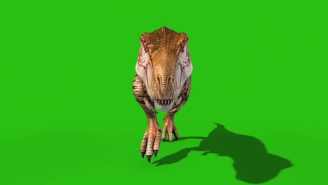 Angry T-Rex Runcycle Green Screen Close , Stock Video