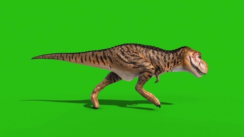 Angry T-Rex Runcycle Green Screen Loop 3D Rendering Animation Dinosaurs