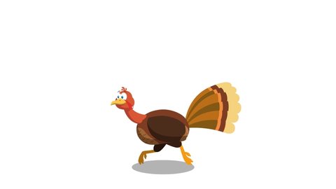 Thanksgiving Turkey Bird Cartoon Character Running.  4K Animation Video Motion Graphics Without Background
