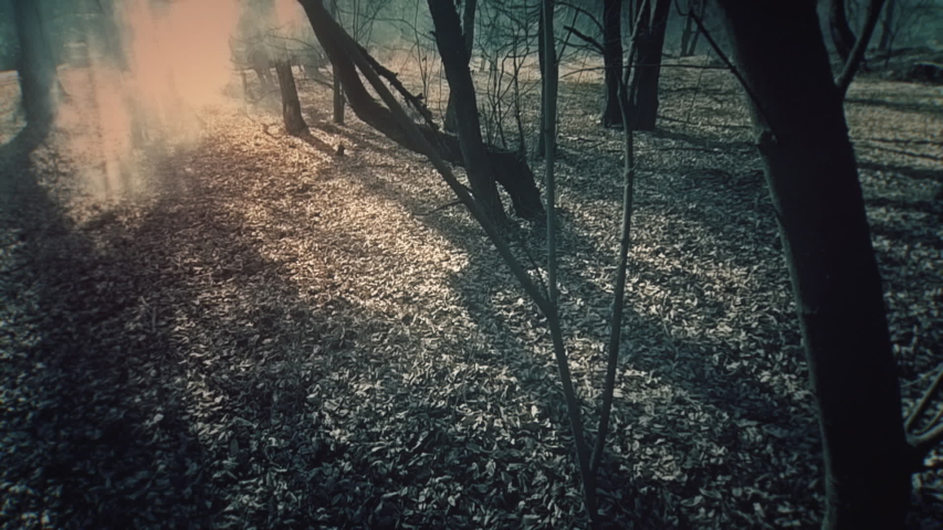 Romanian soldiers fight in a misty forest slow motion