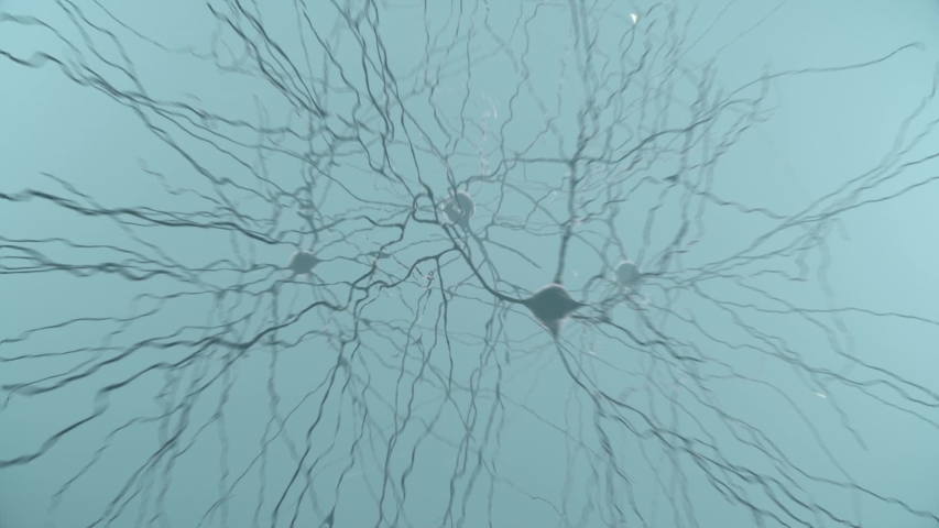 Neuron cluster signal transfer inside human brain Royalty-Free Stock Footage #1056593231