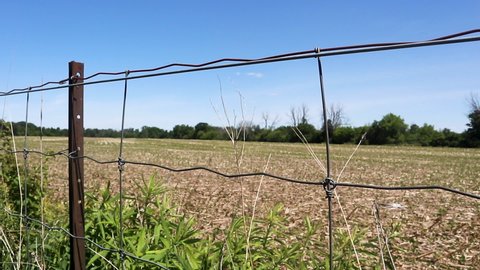 Wire fence along the farmland on a beautiful sunny and clear sky day. A day out in the countryside. Stationed camera.