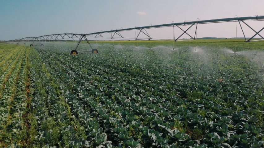 agriculture irrigation of farm field. automatic artificial irrigation of the field for good harvest. smart agriculture eco farming concept artificial intelligence. agricultural irrigation land farm Royalty-Free Stock Footage #1056602993