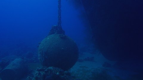 sunken shipwreck in the Red sea, Artificial reef 