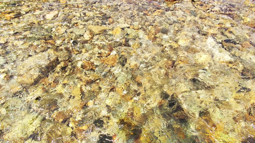 Close-up of the water surface and yellow and broun stones. Pure clean river water is running. 4k video