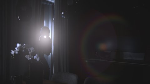  Slomo: Intrusion Of A Burglar Holding A Flashlight In An Apartment At Night 