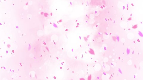 Colorful bright petals swinging in spring background with sun flares. Beautiful nature scene. Illustration cherry blossom petals. Abstract spring graphic. Loop animation.