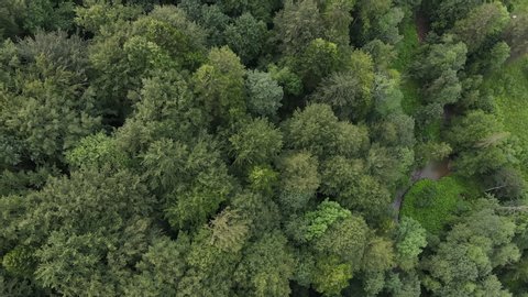 Top view of green forest untouched natural landscape nature conservation. Drone filming straight down. National park exploration and travel destination for tourism and wanderlust