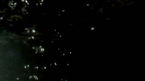 Spaghetti falling into water. Shoot on Digital Cinema Camera in slow motion - ProRes 422 codec.