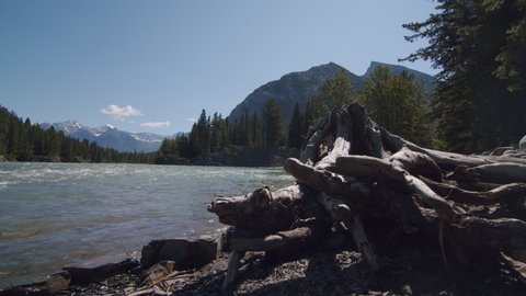 Drift Wood At Bow Falls in Banff National Park, Beautiful Large Canadian Waterfall Bow River