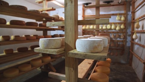 Cheese rounds (wheels) on wooden shelves with sunny background. Milky shop. Ecologically clean dairy products closeup. Eco-friendly modern country farm business. Food business. Farmer insurance. 4K