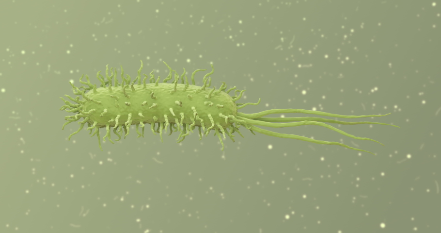 Bacteria Under The Microscope. Prokaryotic Cell animation.