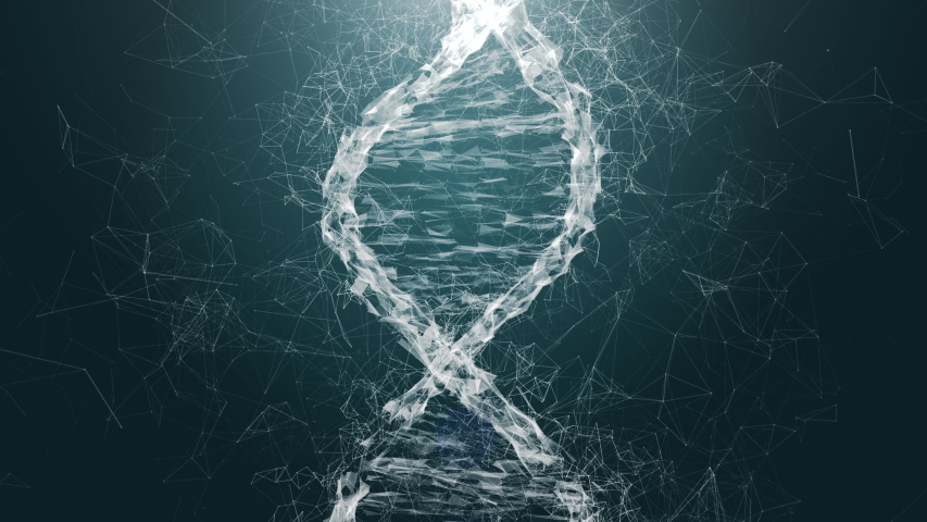 Digital DNA genome double helix animation, isolated on black background. Concept of future bio technology, medicine, gene therapy, development, engineering, AI synergy Royalty-Free Stock Footage #1056683330