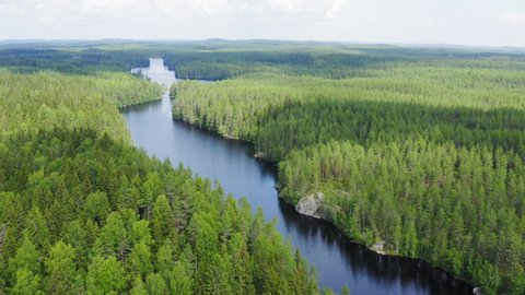 Drone Point Of Interest circling shot of stunning wilderness with untouched forest and river.