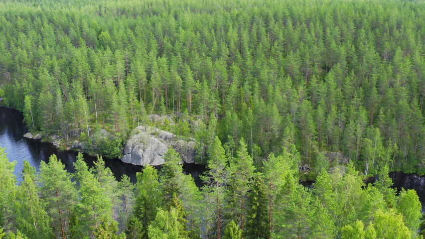 Drone video of river in the middle of forest. Sliding and tilting slowly down.