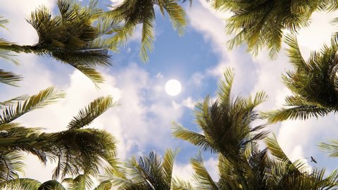 View of the Palm Trees Passing by Under Sunny Blue Skies. Wide Shot of Driving with Camera Looking up at Palm Trees in 4K format POV Tropical Vacation. 3D Rendering, 4K Rendering. 