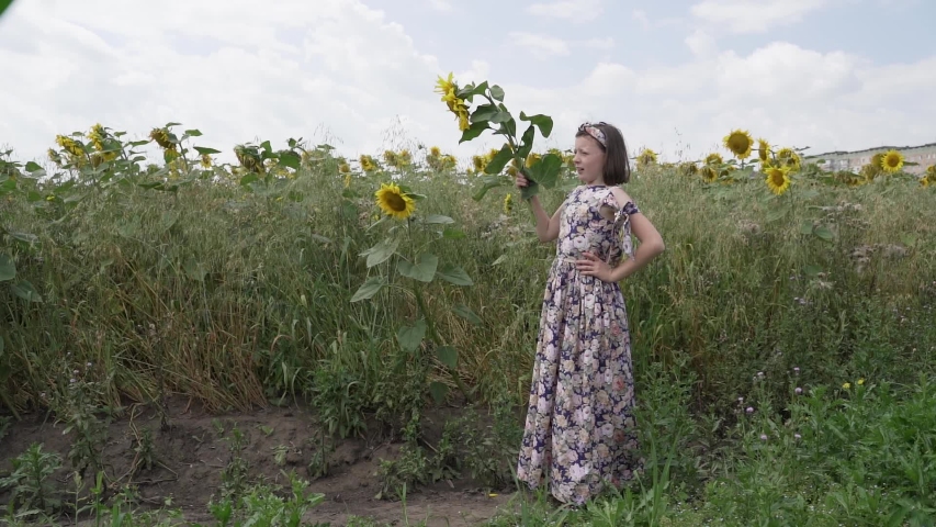 beautiful sweet  girl in dress walking on a field of sunflowers. ideal for advertising 