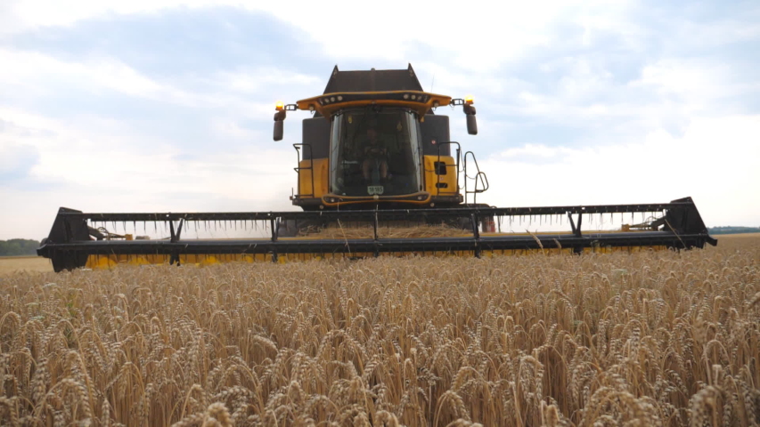 Combine slowly riding through rural cutting yellow stalks of barley. Grain harvester working in field gathering crop of wheat. Concept of agronomy or harvesting. Slow motion Close up Front view Royalty-Free Stock Footage #1056713726