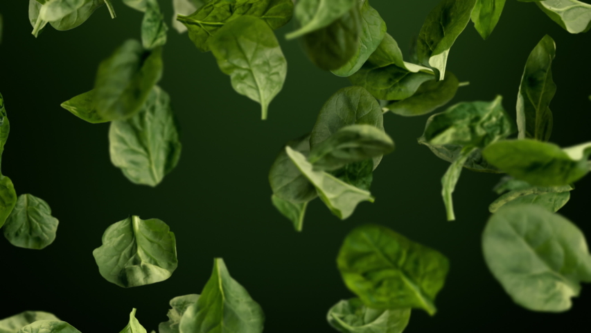Fresh Green Baby Spinach Leaves Falling in Slow Motion Loop With Luma Matte Royalty-Free Stock Footage #1056715088
