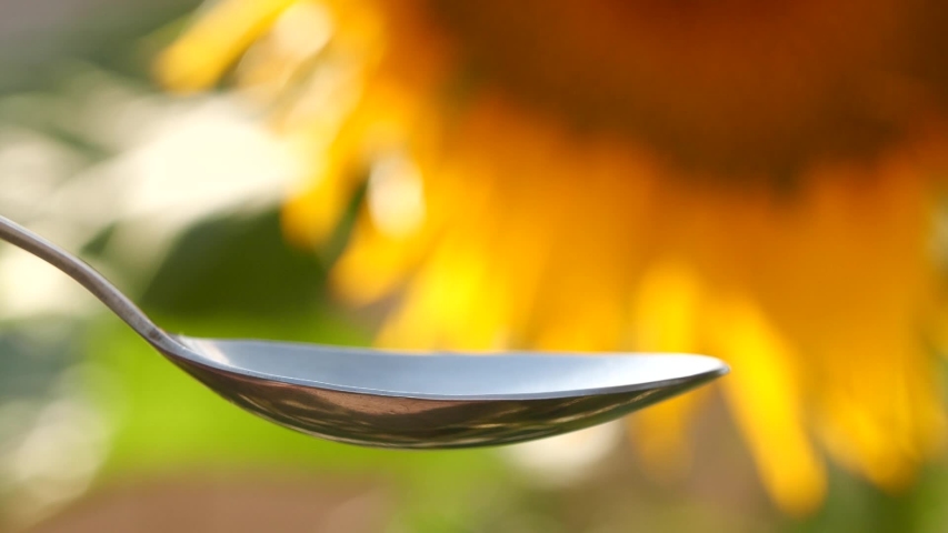 Slow motion of pouring sunflower oil liquid into spoon over yellow flower background with sun rays Royalty-Free Stock Footage #1056722822
