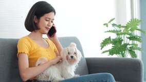 Asian young woman talking on phone while stroking her dog at home.