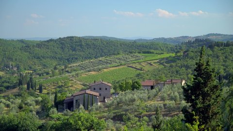 Tuscany Italy. Famous cypress trees row along the road. Beautiful landscape and view of the fields. Cypress defines the signature of Tuscany for tourists. Wine and Olive Farms.