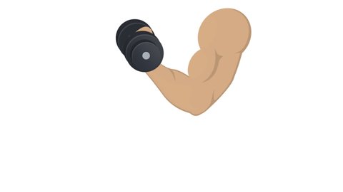 Animation of dumbbells in hands. Bicep, alpha channel on. Training cartoon