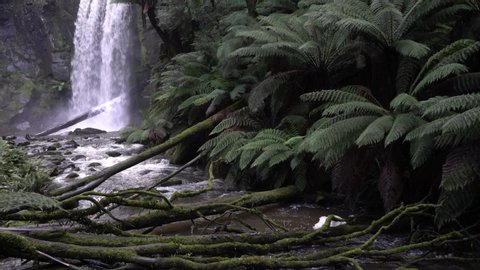 Off centre footage of flowing waterfall into rocky stream amongst ferns in Australian rainforest